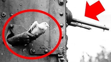 5 Secret Military Codes that have Never Been Solved