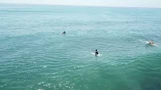カリフォルニア トラッセルズ サーフィン ドローン撮影