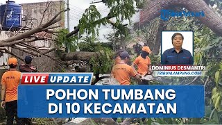 Angin Kencang Robohkan Pohon dan Kanopi Rumah di Bandar Lampung, BPBD Lakukan Evakuasi