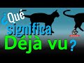 ¿Qué significa Déjà vu? 🐈🐈