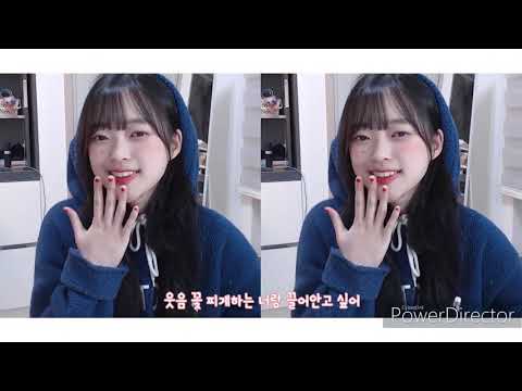 뽀꾸미2번 도네용