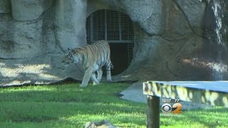 Zoo Recovers After Katrina