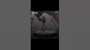 (قَالُواْ لَن نُّؤْثِرَكَ عَلَىٰ مَا جَآءَنَا مِنَ ٱلْبَيِّنَٰتِ)تلاوة خاشعة للشيخ ياسر الدوسري