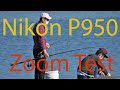 Nikon P 950 ZoomTest