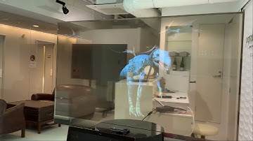 Perspective Expression on See-Through Display by Using Holo-SDK