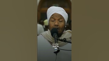سورة نوح من أروع ما قرأ الشيــخ  عبد الرشيد صوفي حفظه الله.