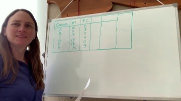 16.3 Species Diversity Chalktalk