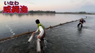 【威縄漁】伝統の福井県九頭竜川のアユ漁【サギリ漁】