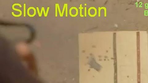 Slow Motion Bullets & 00 Buckshot:  SEE THE PELLETS