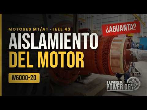 Resistencia de aislamiento en motores (IEEE 43, W6000-20)