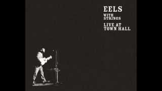 Eels - Girl From The North Country