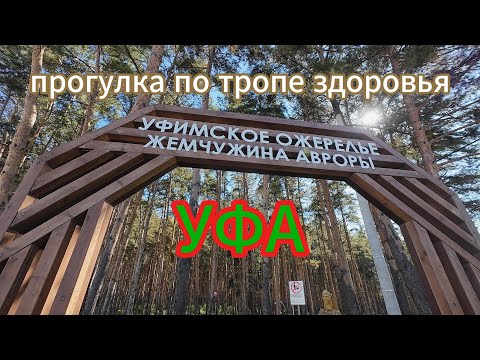 Жемчужина авроры, прогулка