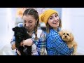 Puppies Make Everything Better! | 12 Days of Vlogmas {Day 4} | Brooklyn and Bailey