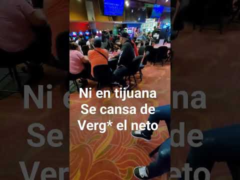Togi plays the chicken game #roobet #onlinecasino #777 #cardgames #blackjack #gamble #casino
