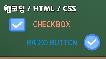 프론트엔드 웹 코딩 - HTML Input의 체크박스와 라디오 버튼 뽀개기!