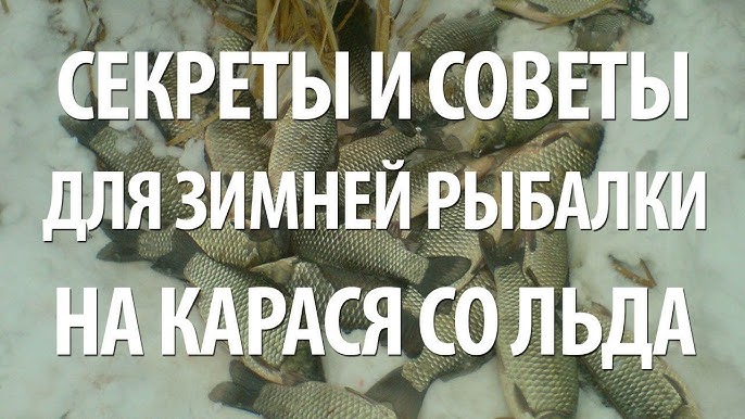 Как сделать зимние снасти для ловли карася с поплавком или кивком - лучшие методы и советы