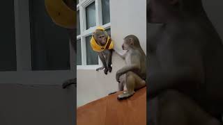 Всем хорошего настроения ❤️