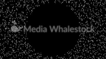 Abstract white different small numbers moving chaotically on black background, seamless loop