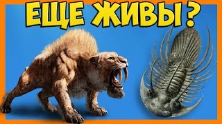 Что будет, если ОЖИВИТЬ ВЫМЕРШИХ ЖИВОТНЫХ? Что будет, если ОЖИВИТЬ ВЫМЕРШИХ ЖИВОТНЫХ?