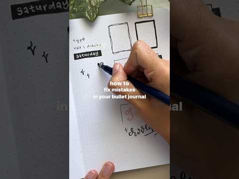 beginner bullet journal