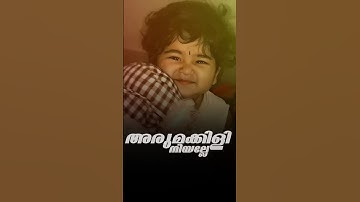 അരുമക്കിളി നീയലേ🤍
