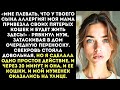 «Какая еще аллергия Моя мама поживет с нами, а ты и твой сопляк потерпите!» — орал муж.