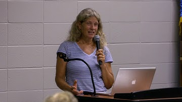 Remediation of urban soils