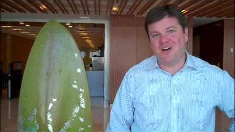 CSR 2009 : Employees : Doug Lavanchy