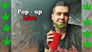 Need help with growing  ? POP UP LIVE SHOW.  Open panel