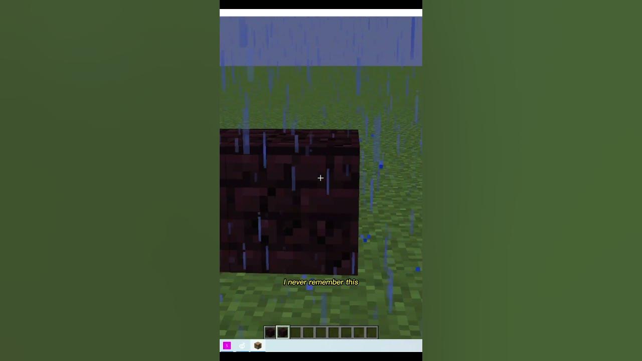 the most useless block in minecraft YouTube