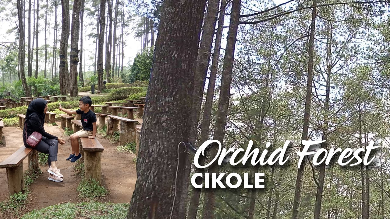 Wisata Ke Orchid Forest Lembang Bandung Wisata Ke Orchid Forest Lembang Bandung