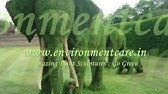 Plant a Tree for your children - EnvironmentCare.in 