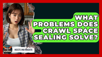 What Problems Does Crawl Space Sealing Solve? - Insects and Invaders