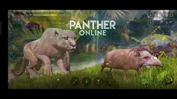 panther online max level 40 high.  #HP.#4703.   damage. #panther #games