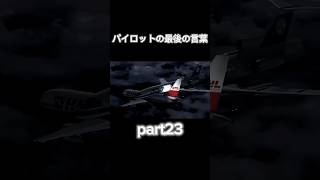 パイロットの最後の言葉23#airplane #aviation #航空事故 #clash