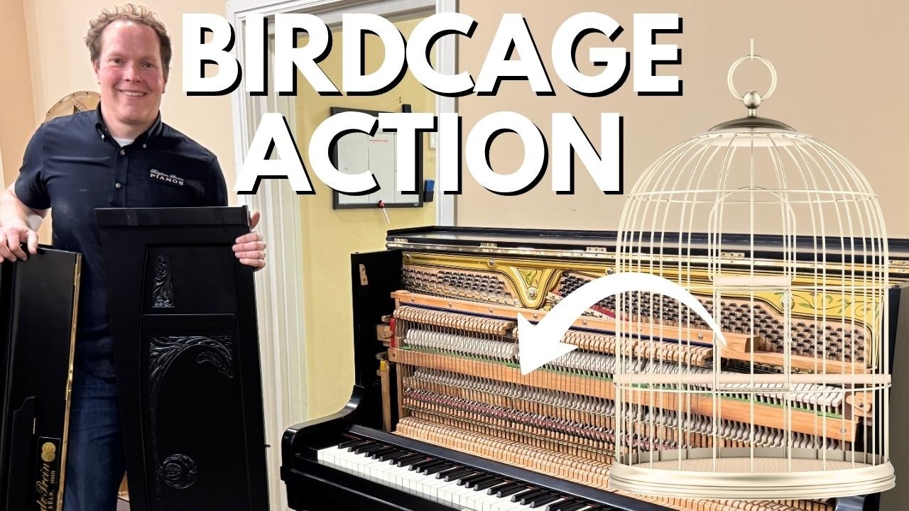 AFTER: Nevada Heirloom 1909 Friedrich Prein Birdcage Action