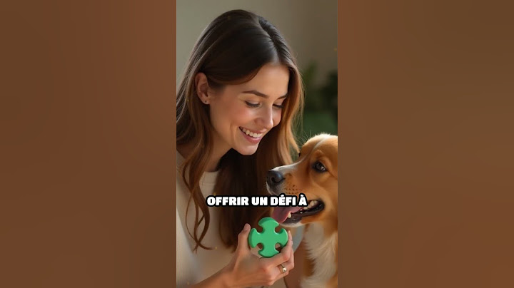 Chiens et chats : l’intelligence en action