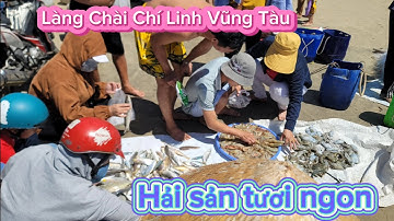 Làng Chài Chí Linh Vũng Tàu Hải sản tươi sống giá rẻ quá ngon / Hương Biển Cuộc Sống