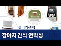 강아지 간식사료 언박싱! 프레스키/이수펫/데이스포/인섹트도그 리뷰