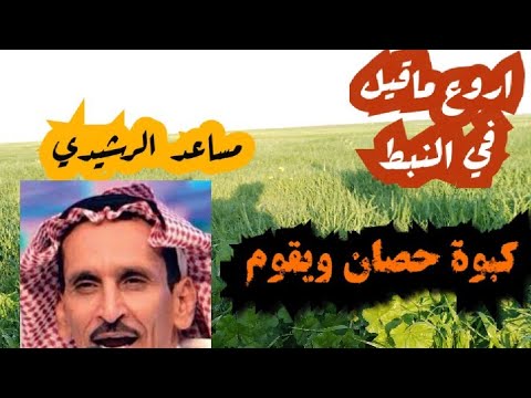 أجمل واروع ماقيل في الشعر النبطي 2 شاعر المليون  لاتنسى الاشتراك في القناة
