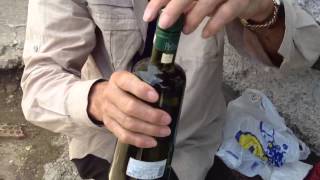 Subsistence Farm Produces in Bosnia screenshot 1