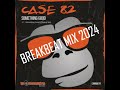 New breakbeat mix 2024 vol 1