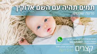 קצרים ברסלב - פרשת שופטים מעלת התמימות