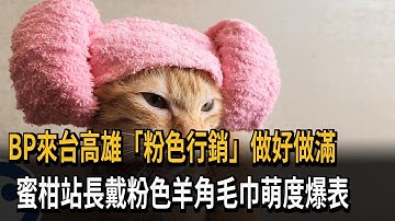 BLACKPINK開唱高雄粉色旋風！蜜柑站長「超萌應援」－民視新聞