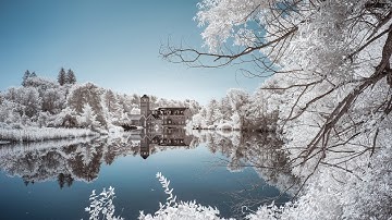 Infrared Photography post processing with channel swap