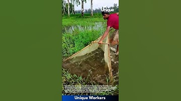 Fishing for beginners: a simple guide to fish catching