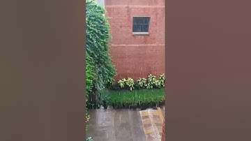 Monsoon at East West University, Dhaka, Bangladesh #ewu #dhaka #bangladesh #rain #monsoon