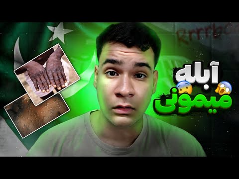 ابله میمونی از افرقیا به پاکستان رسید چه خواهد شد