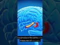 Unlock Your Brain's Power: Biofeedback for Ultimate Control! #shorts