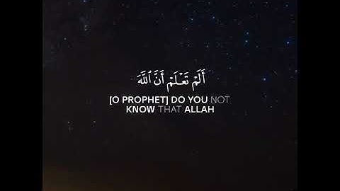 هيثم الدخين/قراءة عراقية لراحة قلبك♥️⛅️/ سورة البقرة/حالات واتساب القران/حالات واتس دينية